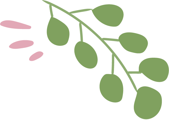 lae vegetal 5