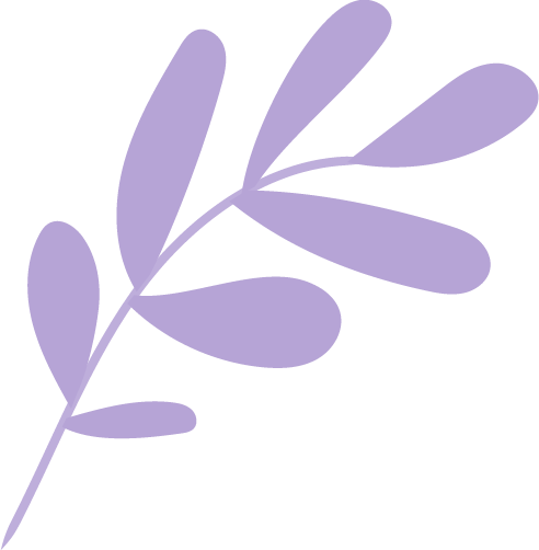 lae vegetal 9